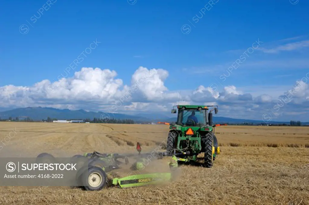 Usa, Washington State, Skagit Valley, Farmer Harvesting Wheat