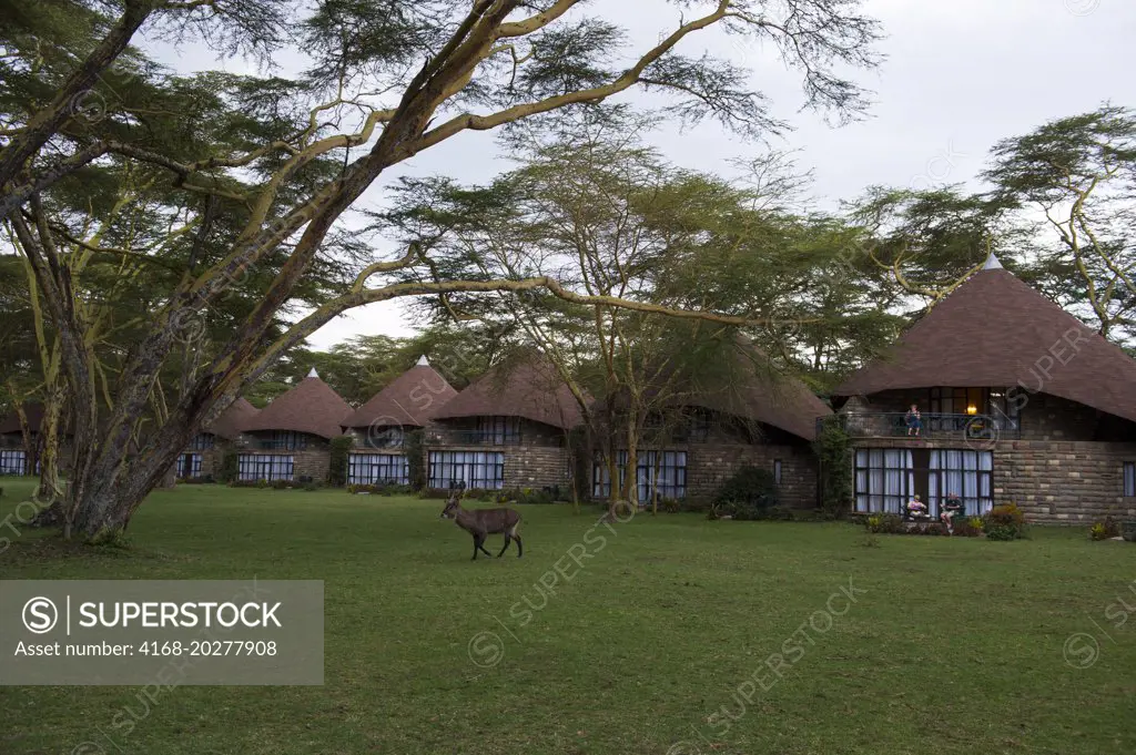 Bungalows of the Lake Naivasha Sopa Lodge in the Great Rift Valley on Lake Naivasha in Kenya