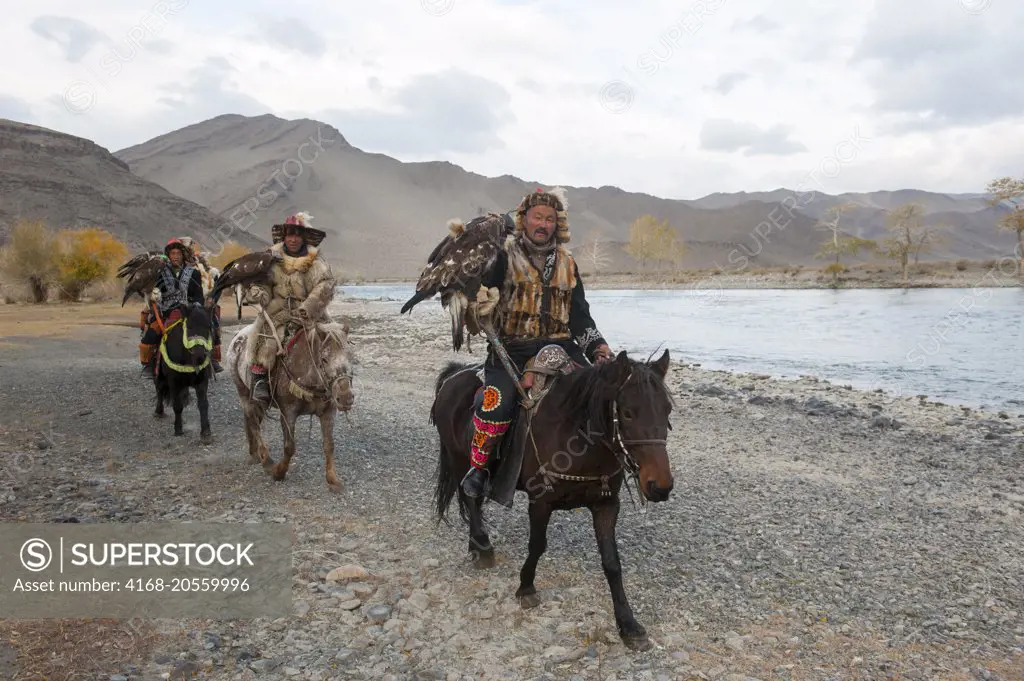 A group of Kazakh Eagle hunters and their Golden eagles on horseback at the Hovd River near the city of Ulgii (Ölgii) in the Bayan-Ulgii Province in western Mongolia.