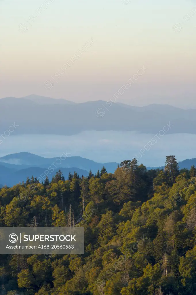 View of the Great Smoky Mountains National Park in North Carolina, USA at sunrise from the Newfound Gap Overlook.
