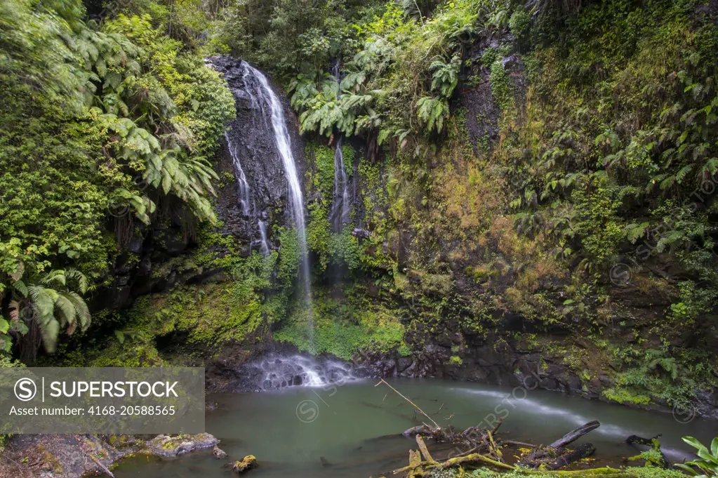 The sacred waterfall in the rainforest of Montagne dAmbre National Park near Antsiranana (Diego Suarez), Madagascar.