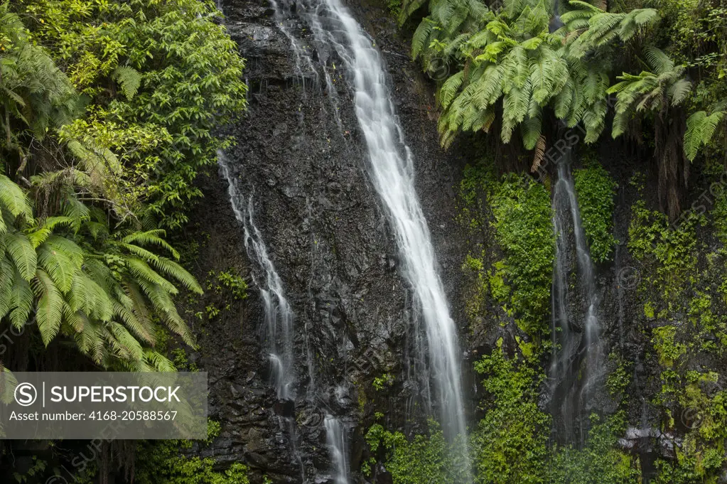 The sacred waterfall in the rainforest of Montagne dAmbre National Park near Antsiranana (Diego Suarez), Madagascar.
