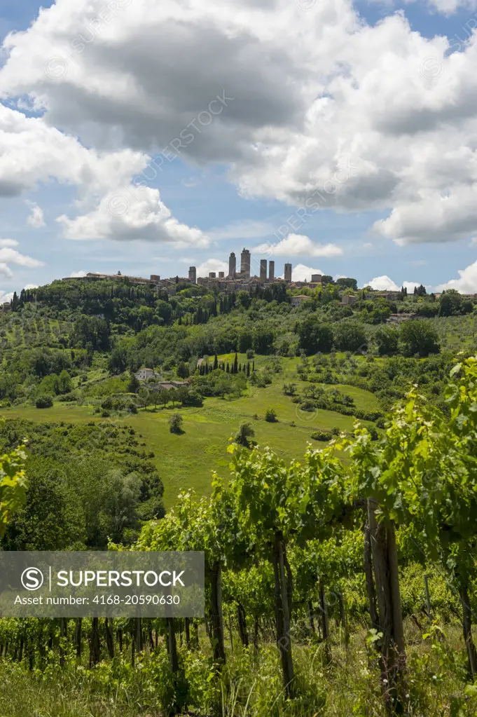 View of the medieval walled hill town of San Gimignano with vineyards in foreground in Tuscany, Italy.
