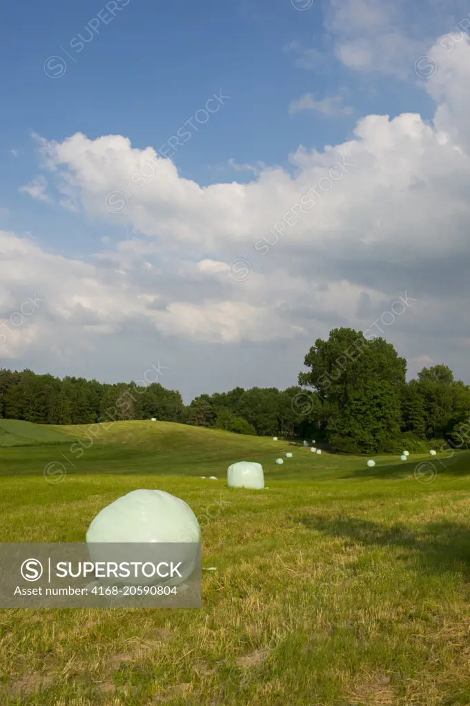 Pasture with hay bales wrapped in plastic near Stolpe, Anklam, in Mecklenburg-Vorpommern, Germany.