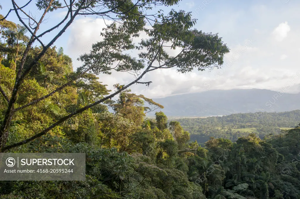 View of the rainforest canopy near the Arenal Volcano in Costa Rica.