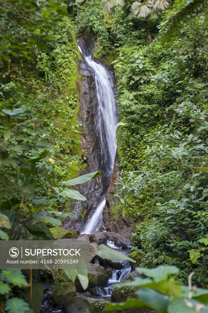 A waterfall in the rainforest near the Arenal Volcano in Costa Rica.