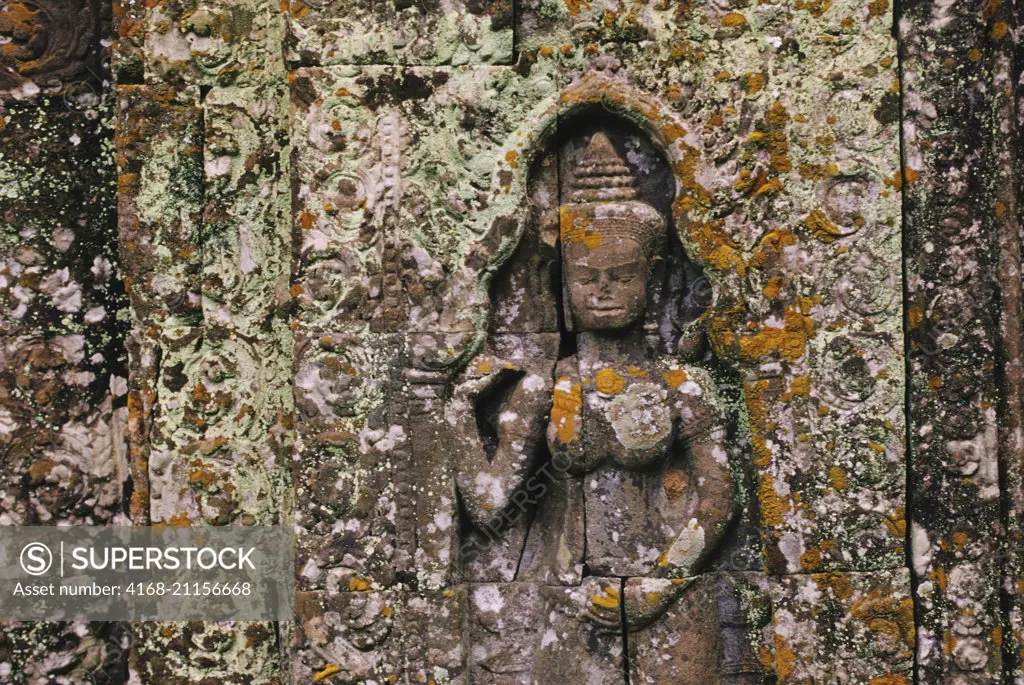 A lichen overgrown bas-relief carving of a goddess at Preah Khan Temple in Angkor at Siem Reap in Cambodia.