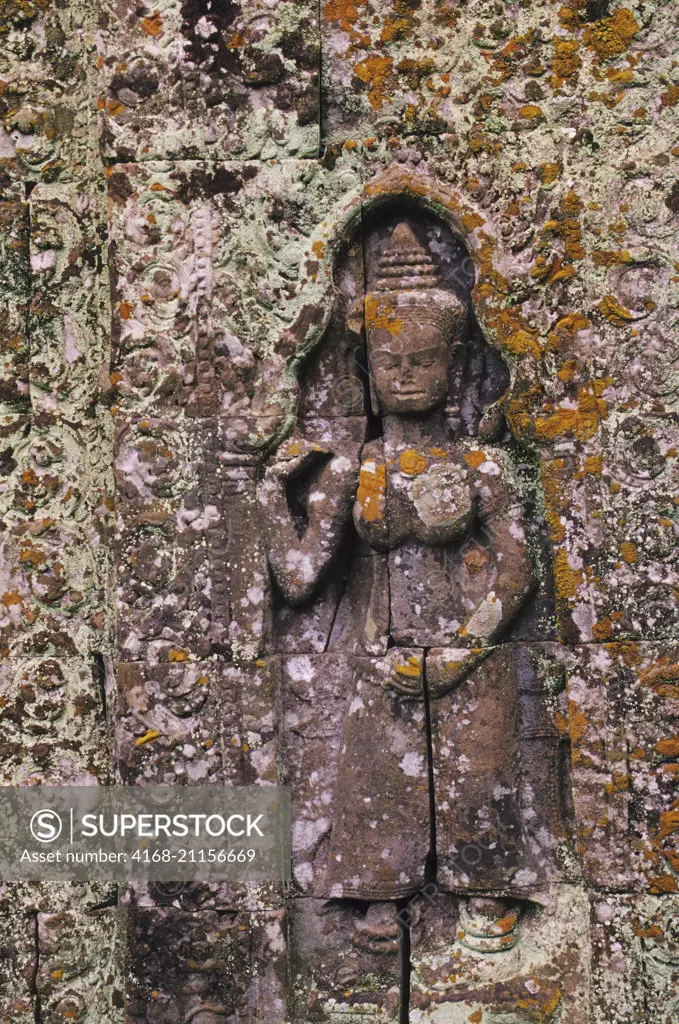 A bas-relief carving of a goddess overgrown with lichens at Preah Khan Temple in Angkor at Siem Reap in Cambodia.