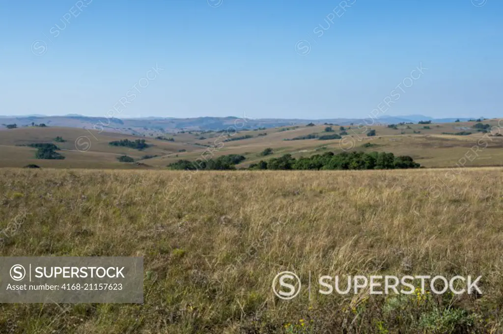 View of the grasslands and rolling hills of the Nyika Plateau, Nyika National Park in Malawi.