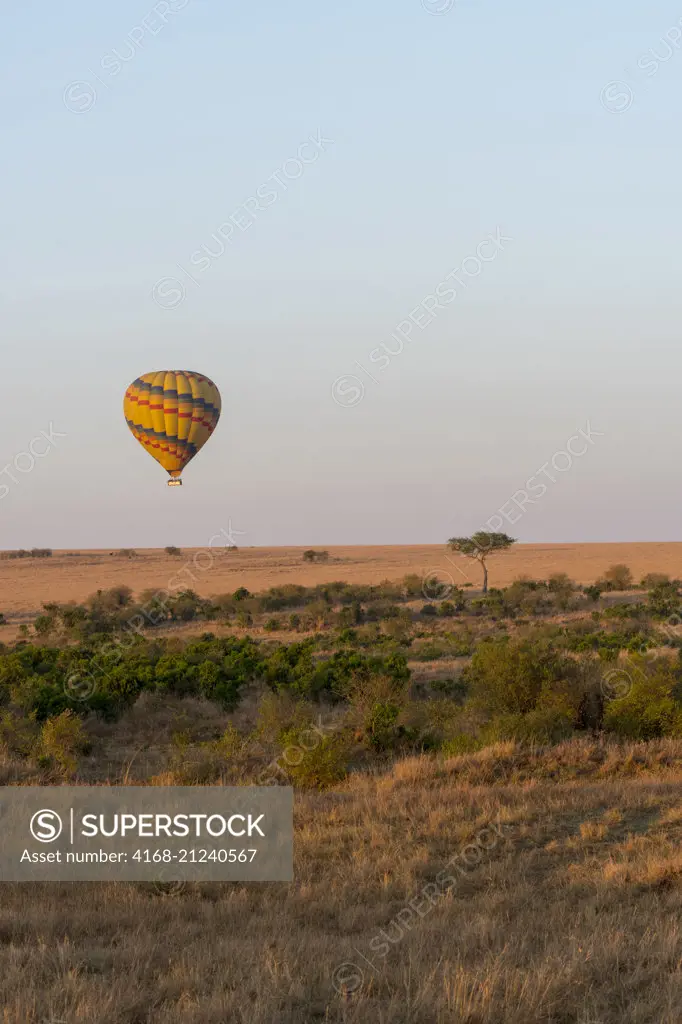 A hot air balloon is flying over the Masai Mara National Reserve in Kenya.