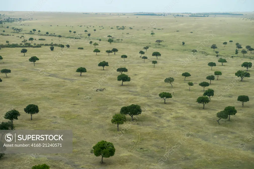Aerial view of the Masai Mara National Reserve in Kenya.