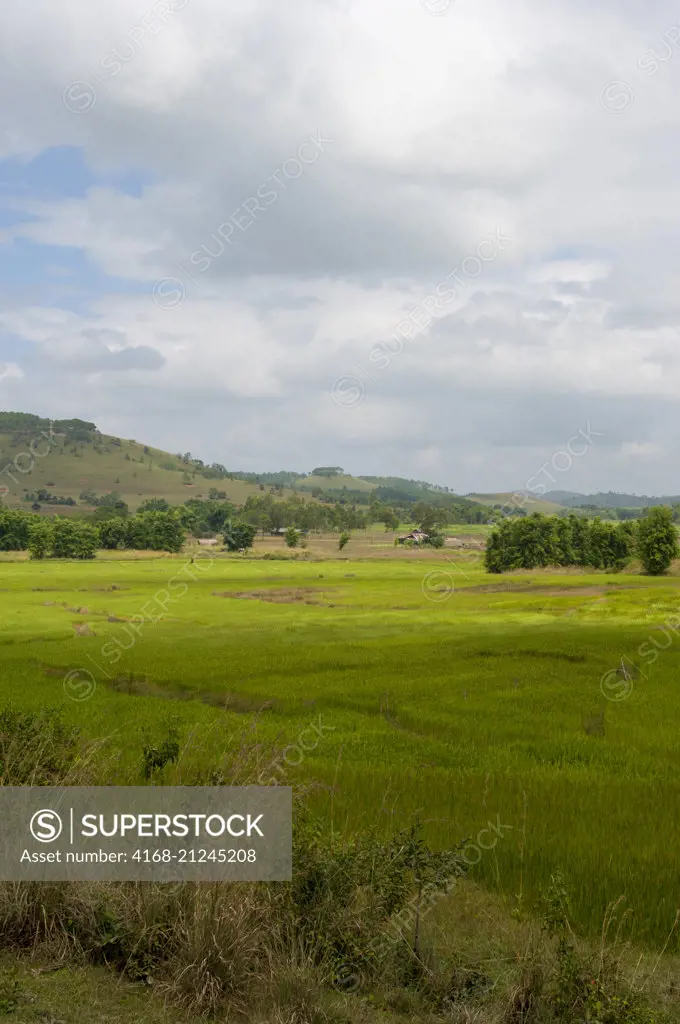 A landscape with rice fields near Phonsavan (originally known as Muang Phouan), the capital of Xiangkhouang province in Laos.