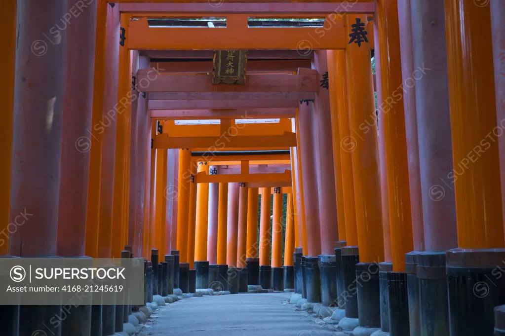 A walkway with tori gates at Fushimi Inari Taisha shrine in Kyoto, Japan which are donated by a Japanese businesses in hope of good business.