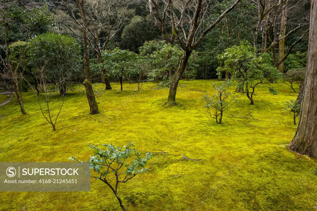 The moss garden, part of the garden of the Ginkaku-ji or Temple of the Silver Pavilion (UNESCO World Heritage Site), a Zen temple in the Sakyo ward of Kyoto, Japan.