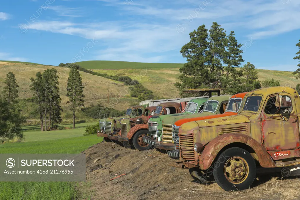 Old farm trucks at a farm in Whitman County in the Palouse, Washington State, USA.
