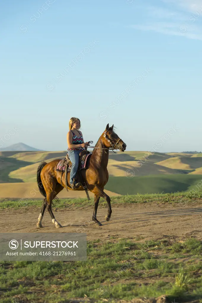 A teenage girl riding a horse on a ridge in the fields in Whitman County in the Palouse, Washington State, USA.