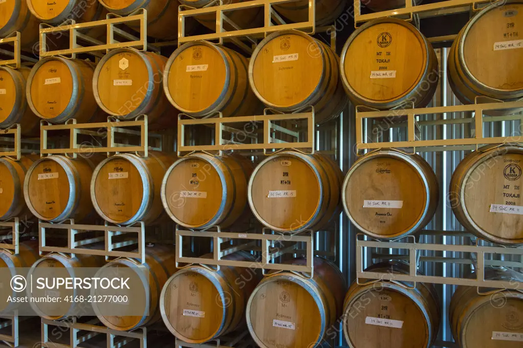 Interior with wine barrels of Merry Cellars winery in Pullman in Whitman County in the Palouse, Washington State, USA.