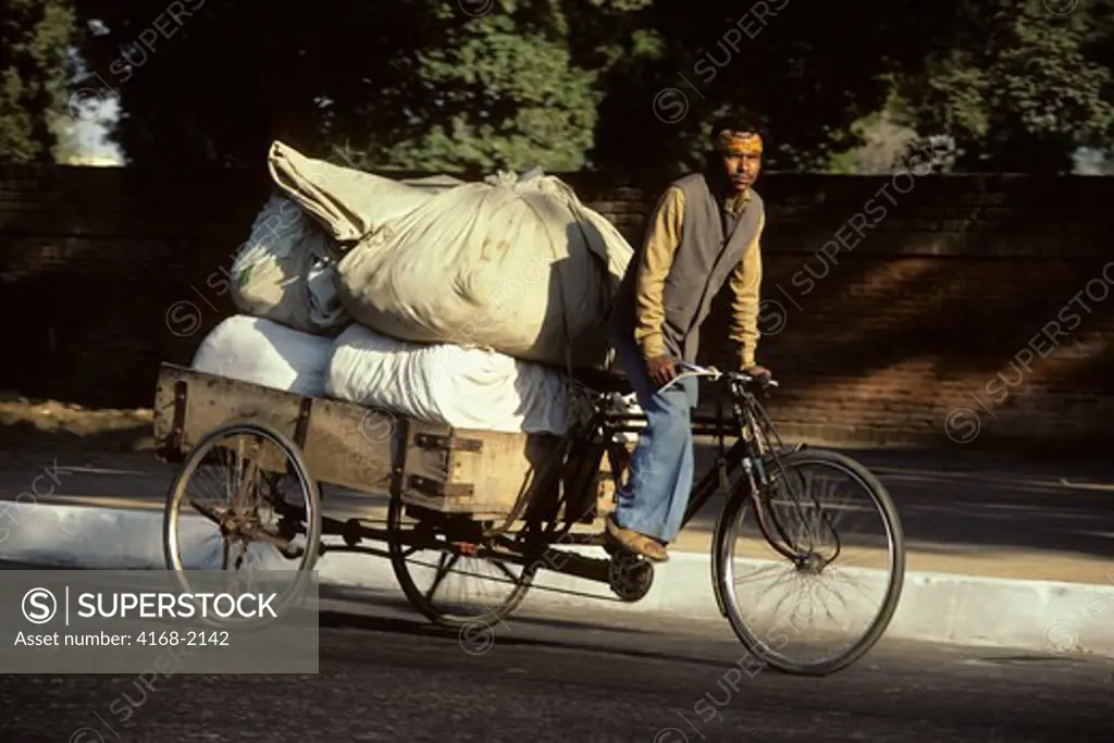 India, New Delhi, Street Scene, Man Transporting Goods On Bicycle