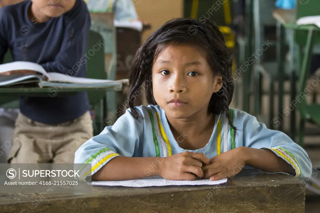 Elementary school girl in the classroom at the Kichwa native community O El Pilchi near La Selva Lodge near Coca, Ecuador.