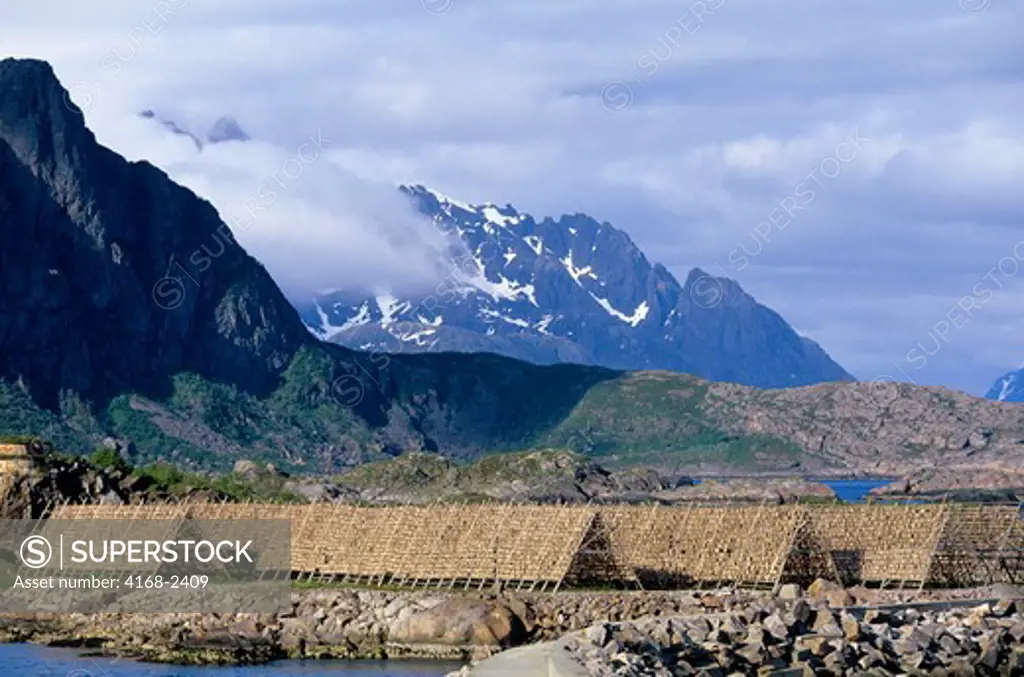 Norway, Lofoten Islands, Svolvaer, Codfish Being Dried On Racks