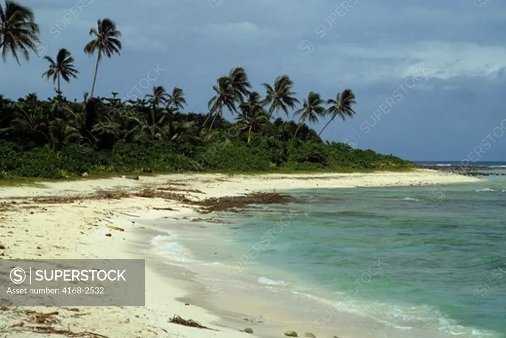 Solomon Islands, Santa Ana Island, Beach With Coconut Palm Trees