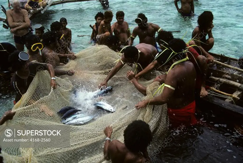Micronesia, Caroline Isls. Ifalik Island, Native Fishermen Catching Fish  W/Smaller Nets - SuperStock