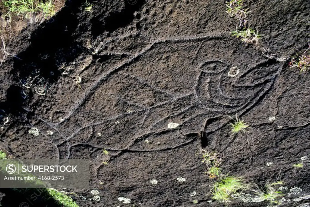 Easter Island, Ahu Tongariki, Petroglyphs On Lava Rock