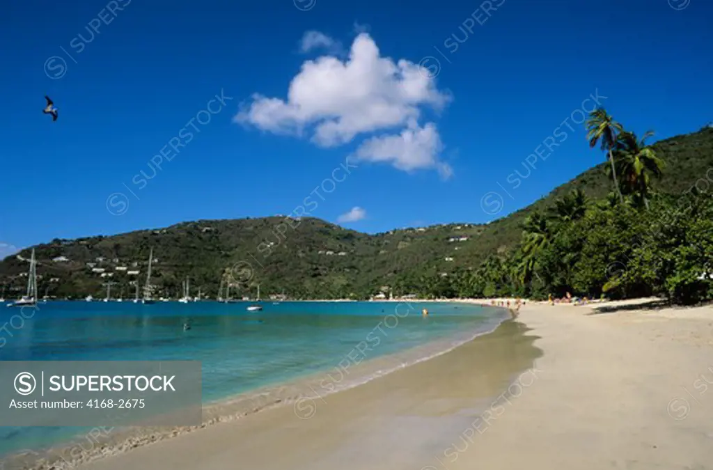 British Virgin Island, Tortola Island, Cane Garden Bay, Beach