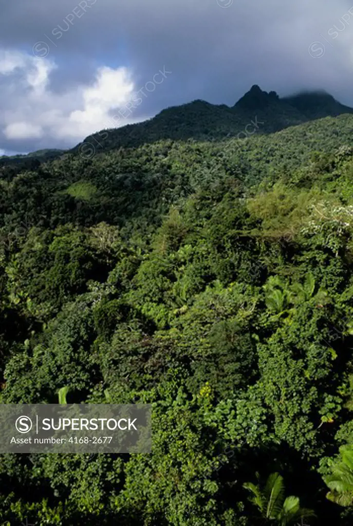 Puerto Rico, El Yunque Rain Forest, Overview