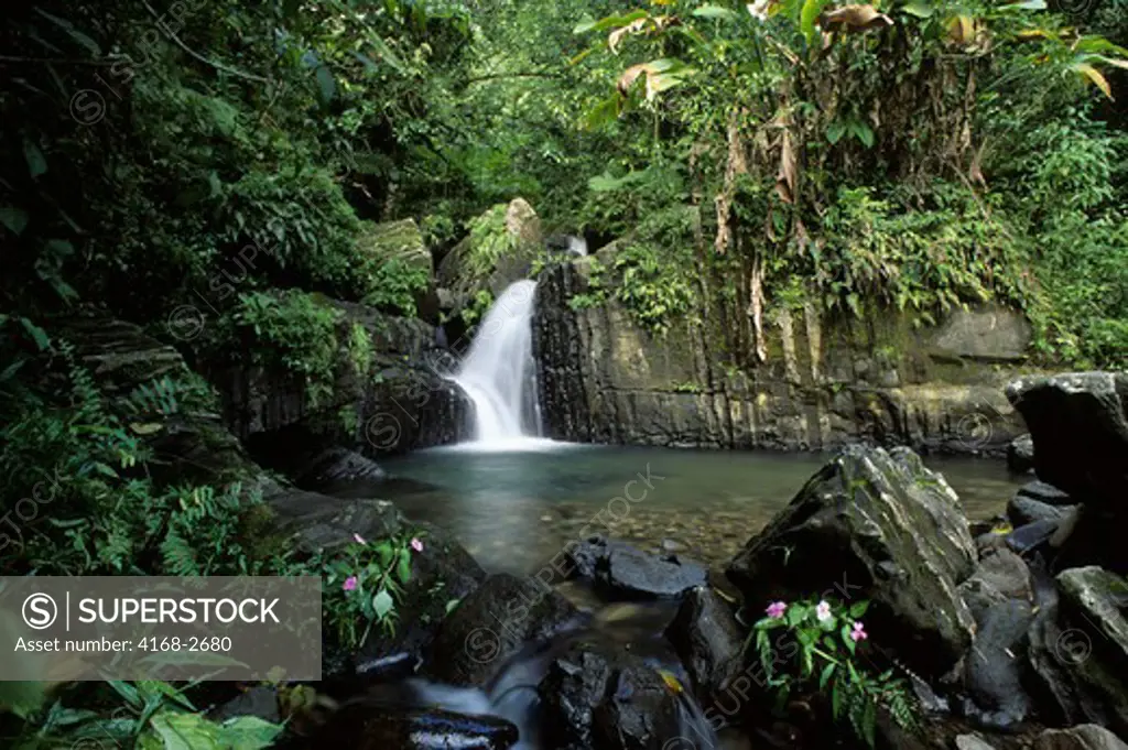 Puerto Rico, El Yunque Rain Forest, Waterfall