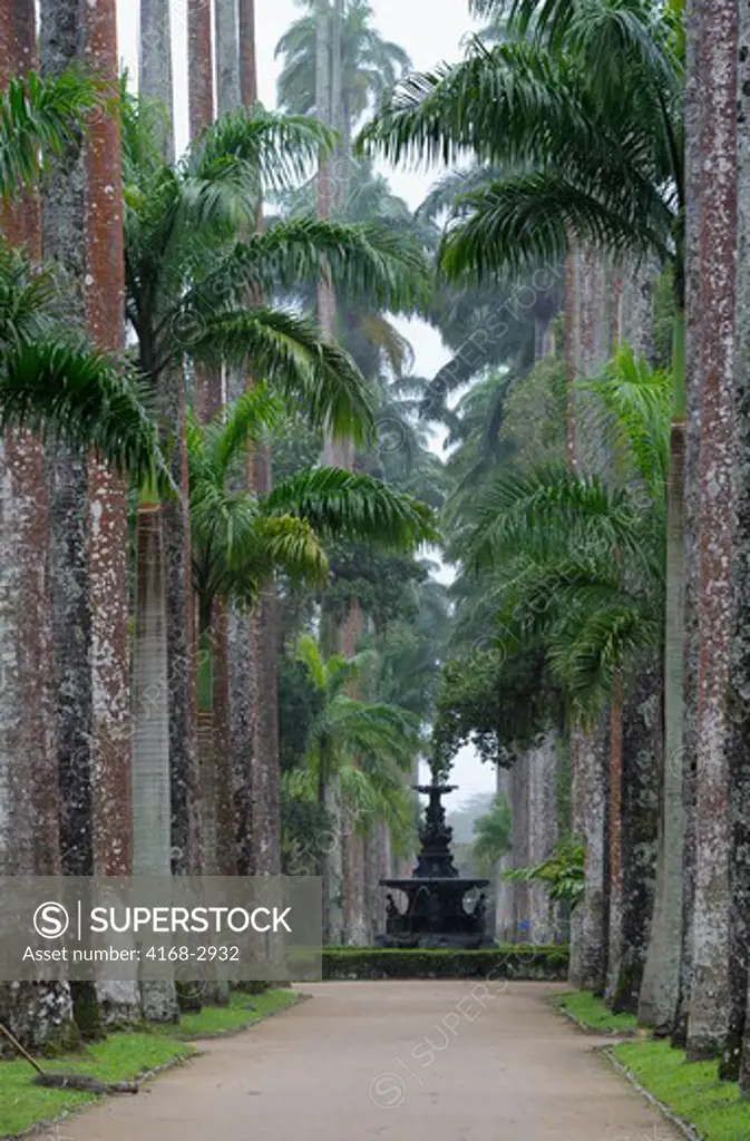 Brazil, Rio De Janeiro, Botanical Garden, Royal Palm Trees