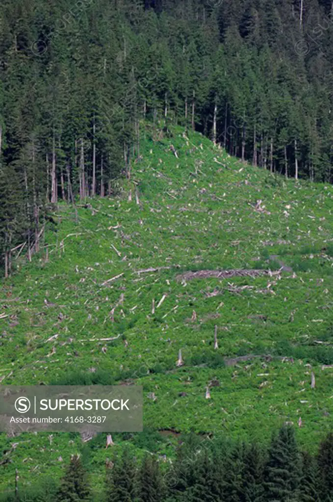 Usa,Alaska, Inside Passage, Wrangell Narrows, Forest With Clearcuts