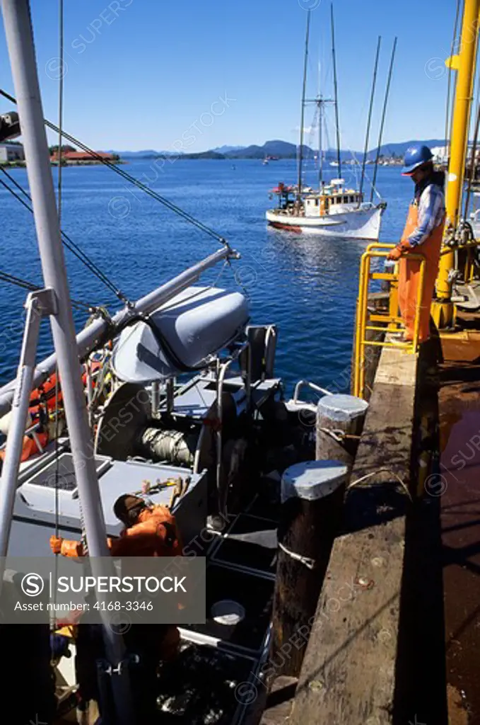Usa, Alaska, Inside Passage, Baranof Island, Sitka, Fish Factory, Halibut Catch Being Unloaded