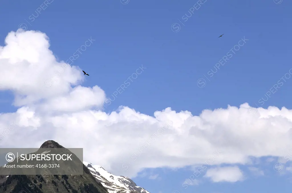 Usa, Alaska, Inside Passage, Near Sitka, Bald Eagle In Flight