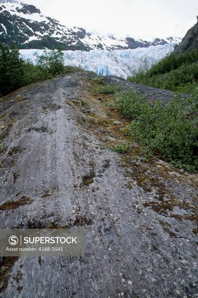 Usa, Alaska, Near Seward, Exit Glacier, Rock Polished By Glacier
