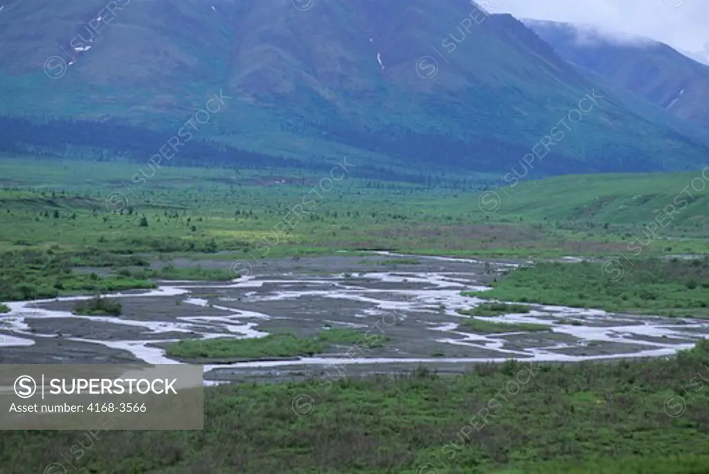 Usa, Alaska, Denali National Park, Tundra