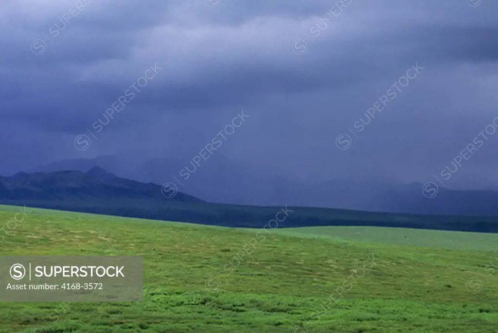 Usa, Alaska, Denali National Park, Rain