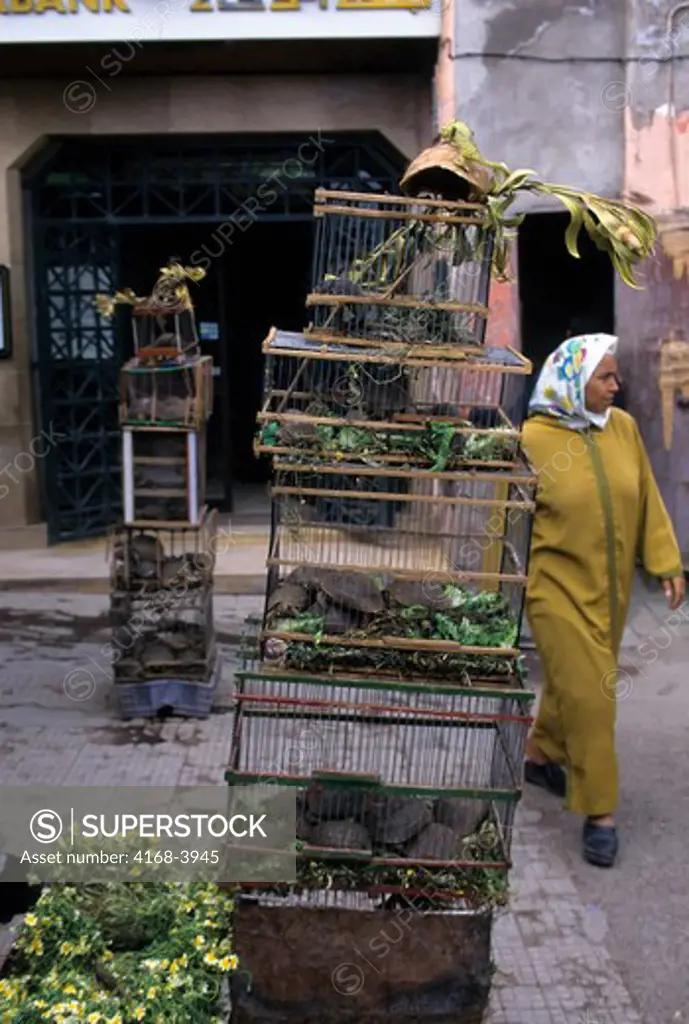 Morocco, Marrakech, Souk, Chameleon And Tortoises For Sale