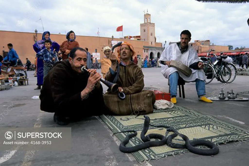 Morocco, Marrakech, Djemaa El-Fna Square, Snake Charmer