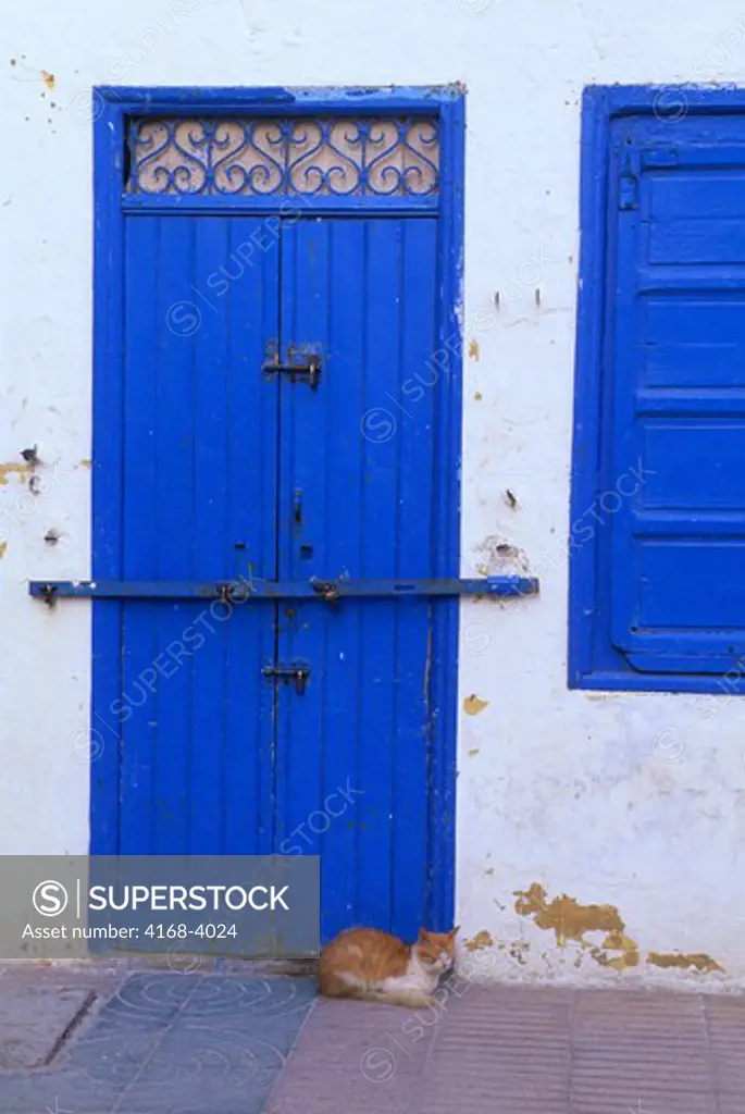 Morocco, Essaouira, Architechture, Blue Door And Window, Cat
