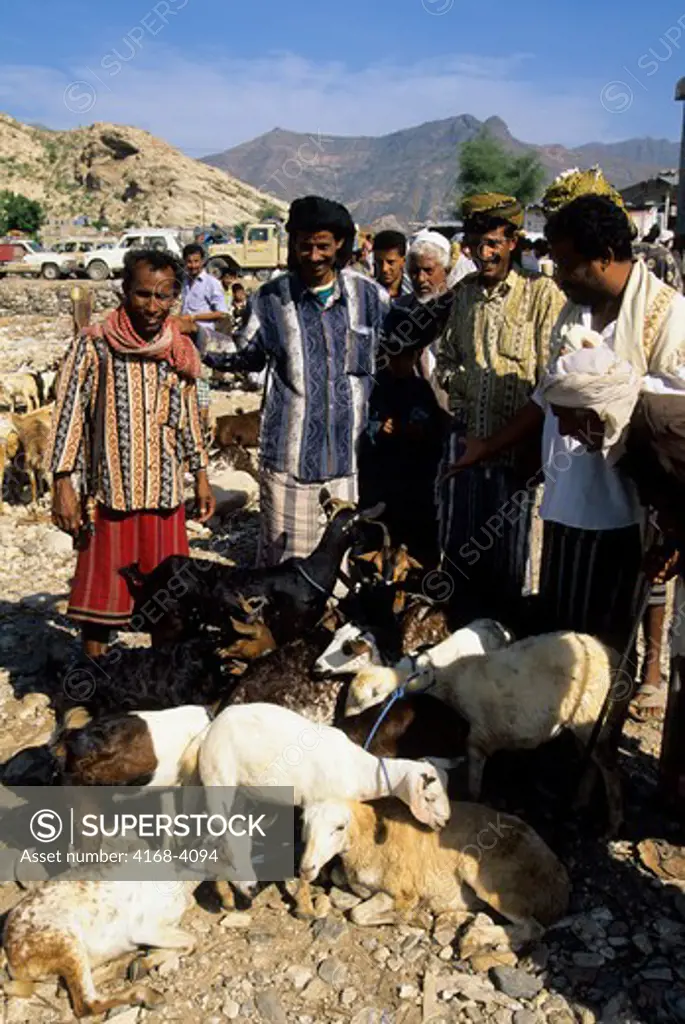 Yemen, Abayn Mountain Area, Village, Sheep Market