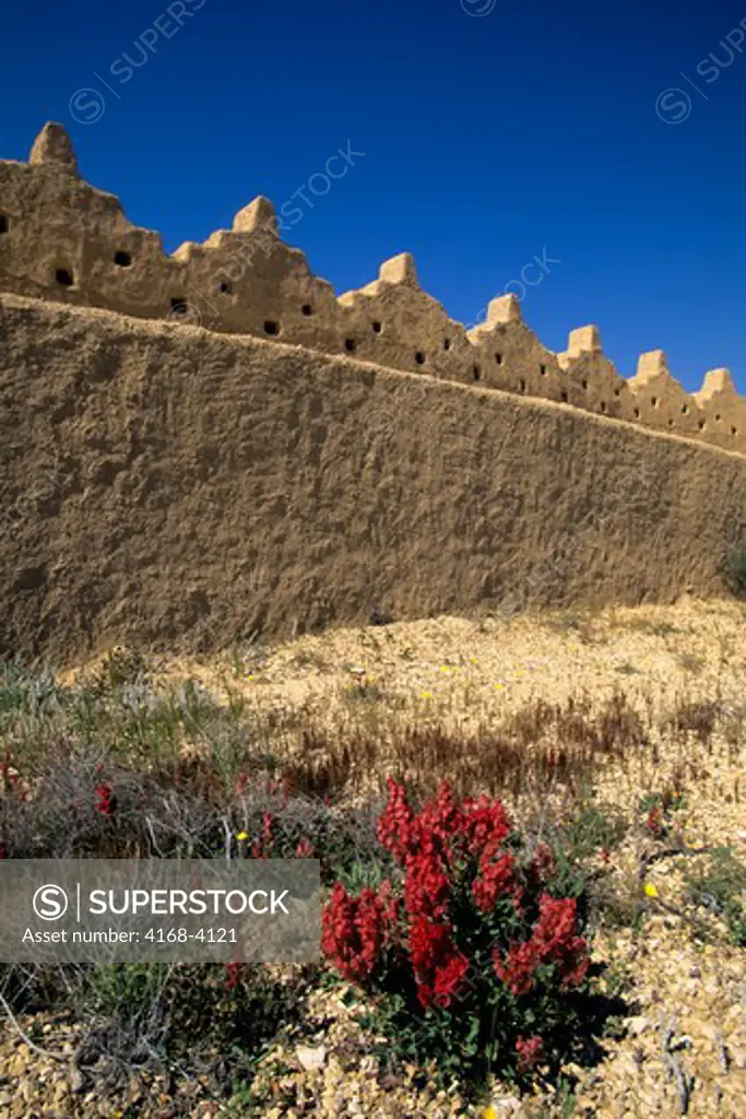 Saudi Arabia,Near Riyadh, Dir'Aiyah Village (1446 A.D.), Archaeological Site, Flowers
