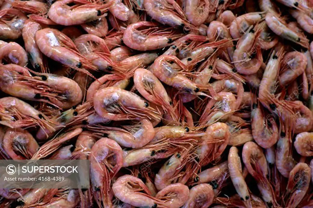 Norway, Bergen, Market, Close-Up Of Fresh Shrimp