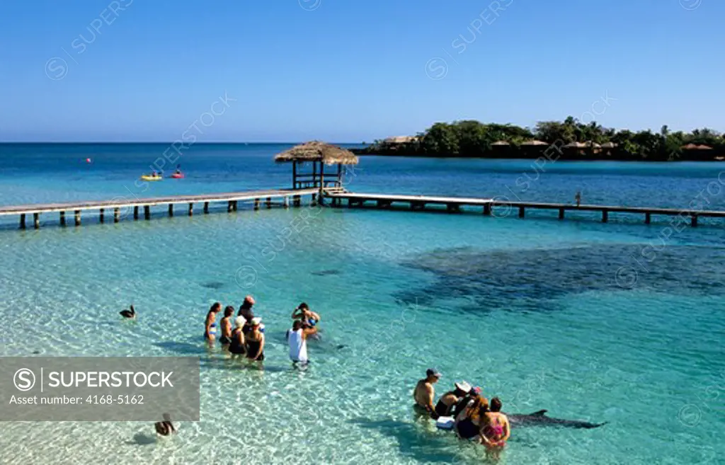 honduras, bay islands, roatan island, anthony's key resort, dolphin encounter, tourists with dolphins