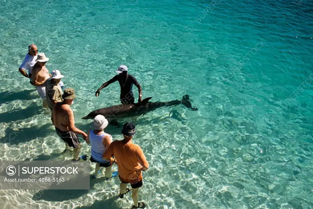 honduras, bay islands, roatan island, anthony's key resort, dolphin encounter, tourists with dolphin