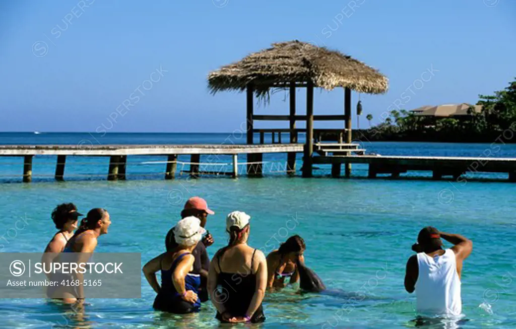 honduras, bay islands, roatan island, anthony's key resort, dolphin encounter, tourists honduras, bay islands, roatan island, anthony's key resort, dolphin encounter, tourists with dolphin