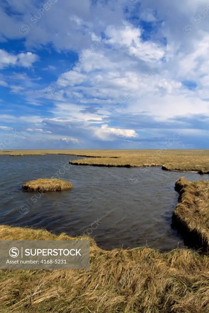 usa, alaska, yukon delta, hock slough camp, wetlands with ponds