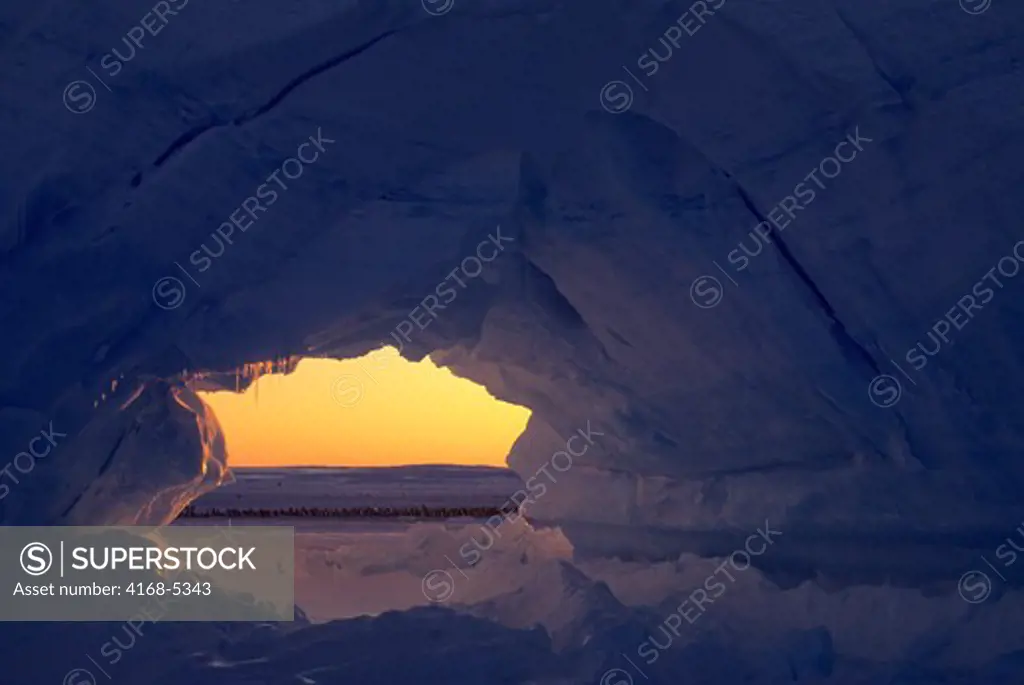 antarctica, atka iceport, iceberg with arch, midnight sunshine, emperor penguin colony background