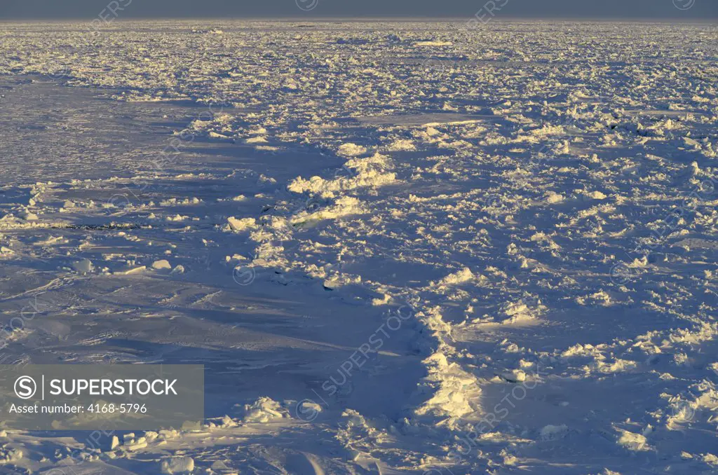 ANTARCTICA, WEDDELL SEA, RIDGED SEA ICE IN EVENING LIGHT