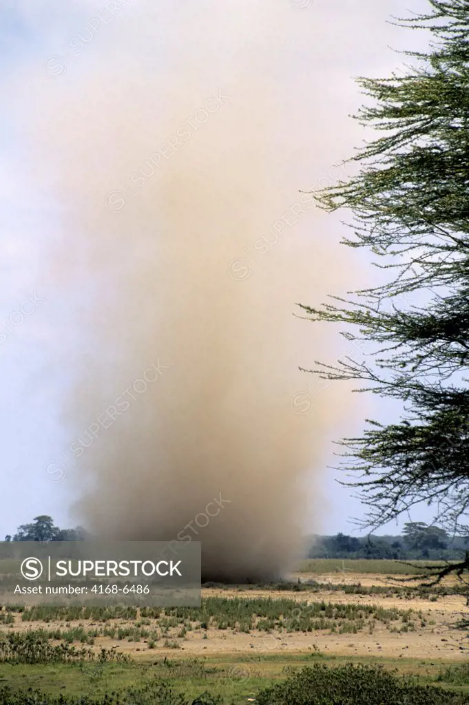 kenya, amboseli national park, dust devil